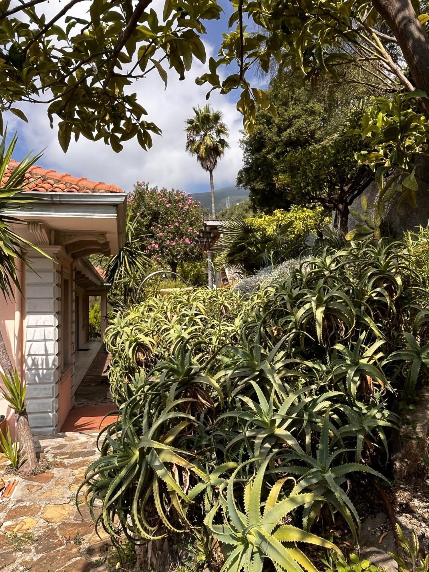 Villa D'Artisti Sanremo Exterior foto